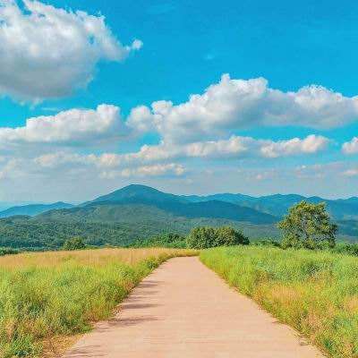 28网站下载手机版