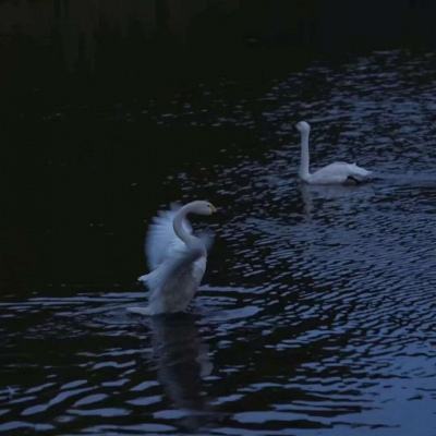 买球的app排行榜前十名推荐app下载